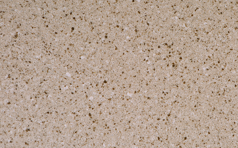 1529 SL Stoneworks All natural brown Quartz countertop