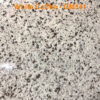 GM141 White Coffee all natural quartz toronto