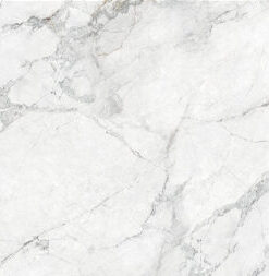 Swan Lake Printed Quartz
