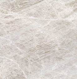 TAJ HAMAL Printed Quartz
