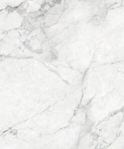 Swan Lake Printed Quartz